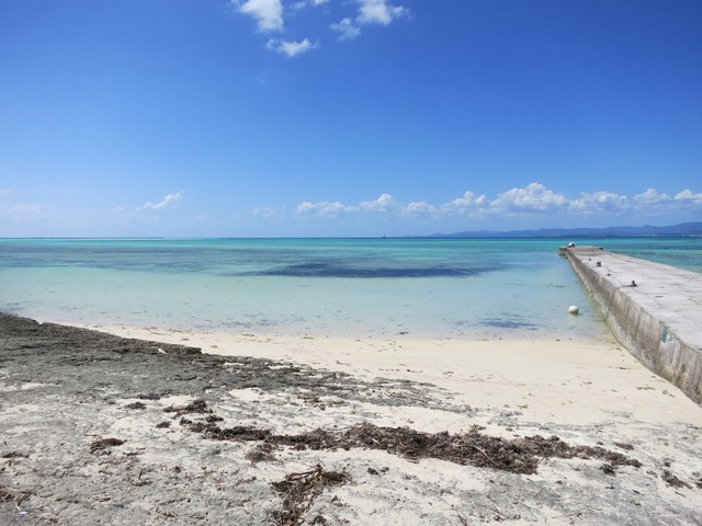 org3489768