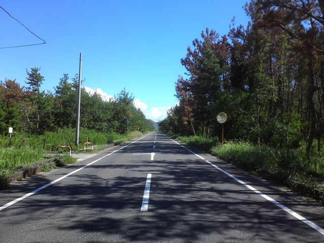 org3433552