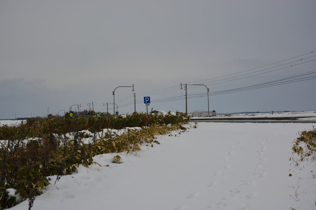 iJMuUJb