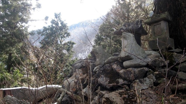 vljiko091454