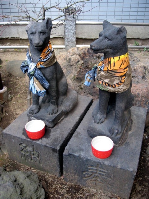 vljiko090257