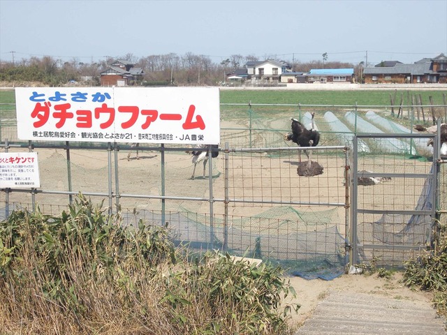 org3480954