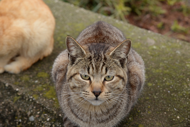 my98076goZYtlAC4WraOaE2