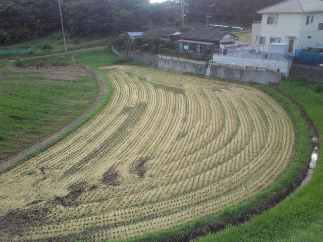 org3433957