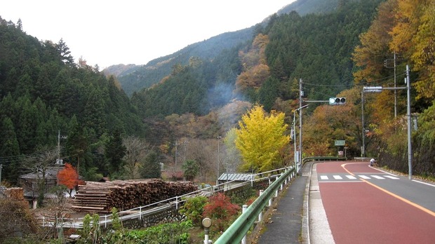 vljiko087532