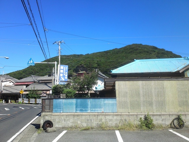 org3433771