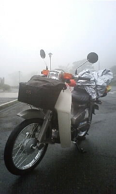 org3401664