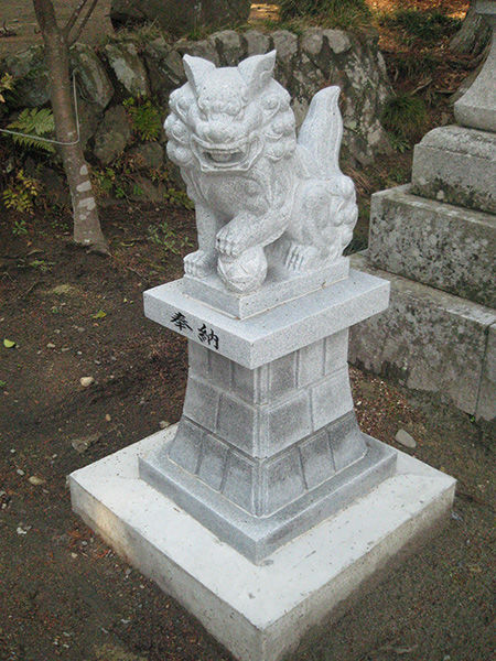 cd916558