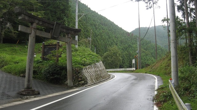vljiko083203