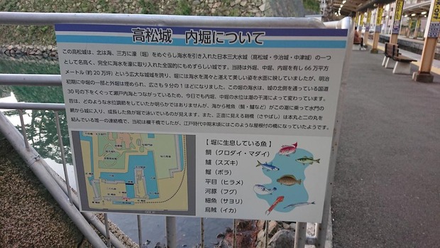 ryurgtm