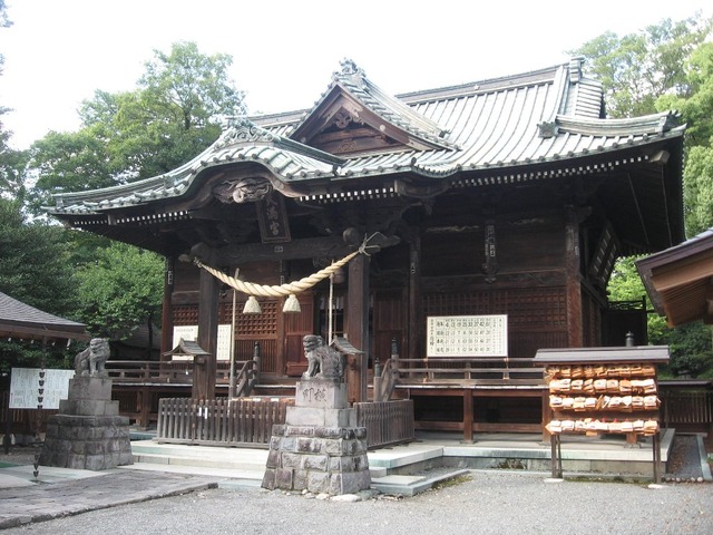 vljiko083209