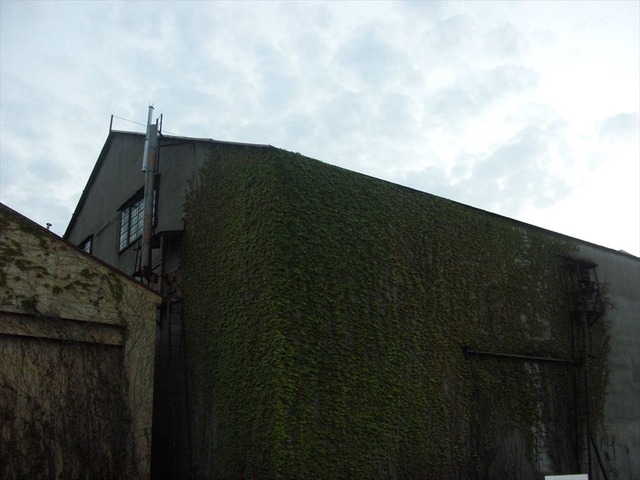 org3481497