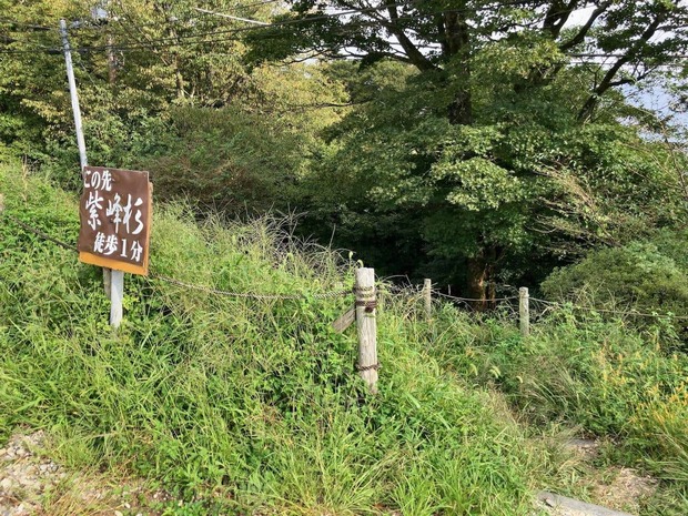 ph8q0Wg