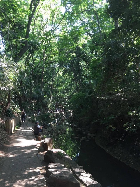 scRgjNU
