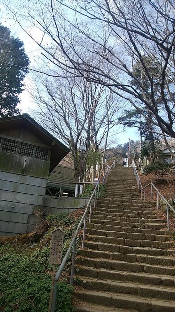 MIiiu7x