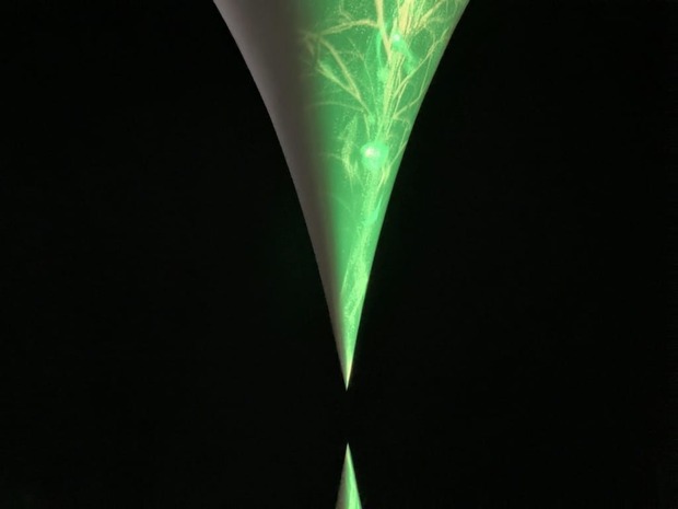 FgJitmJ