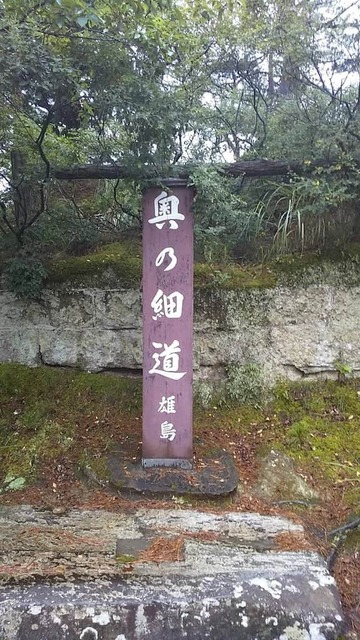 BZqpvZl