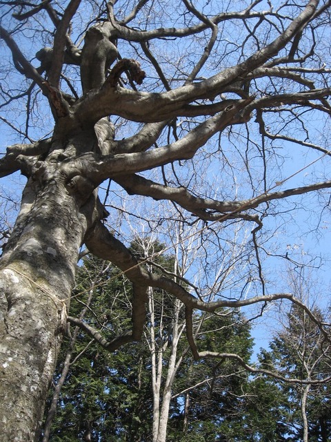 vljiko092183