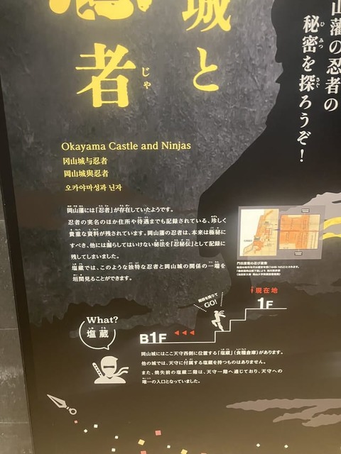cc8c8415k8