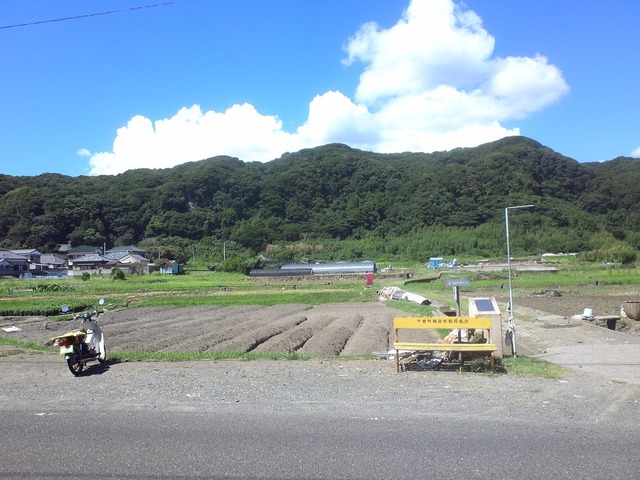 org3433610