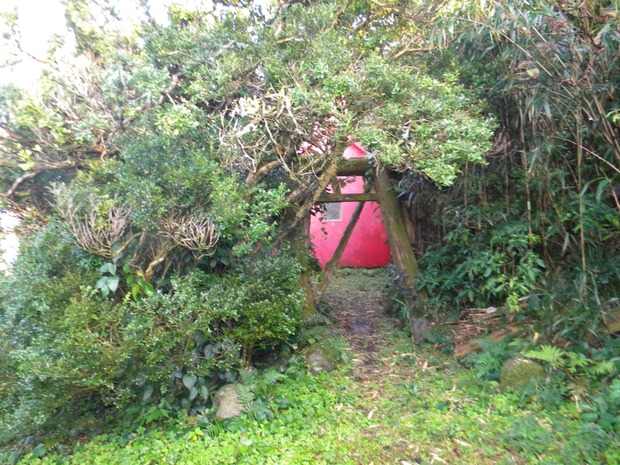 org2890353