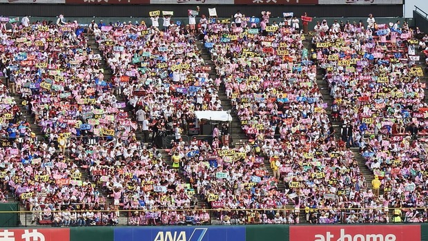6Hn6JPN