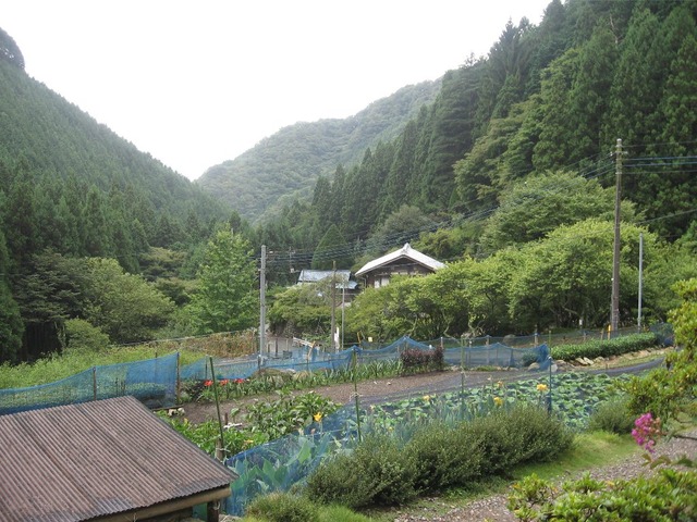 vljiko083204