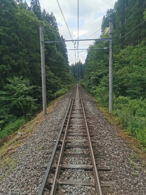 PIaUDJM