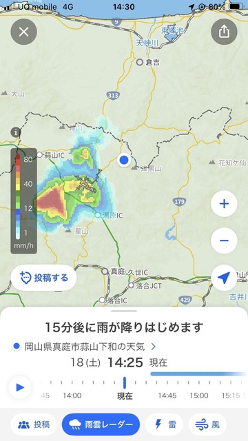 lJyNJPY