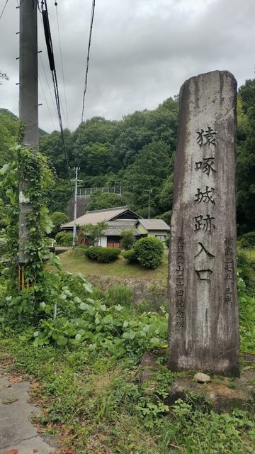 aeTeEkh