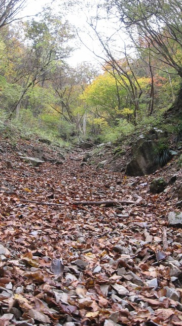 vljiko087542