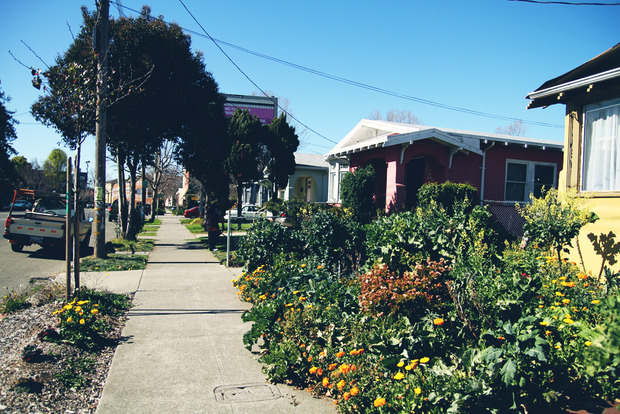 vlphoto017420