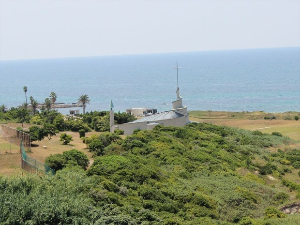 org4406446