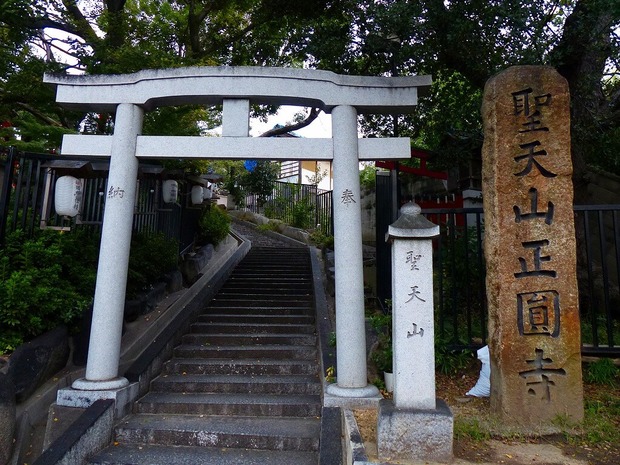 vjHIFEa