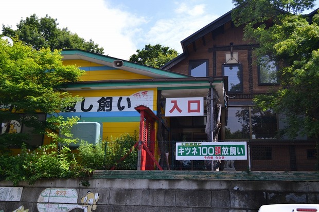 org3264638