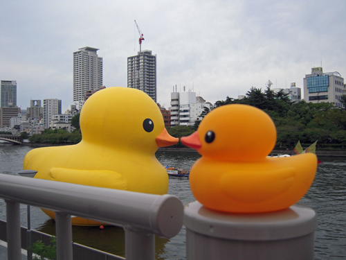 3920060632_e7fb1e5542