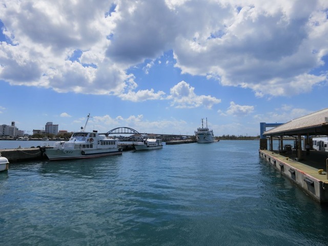 org3489649