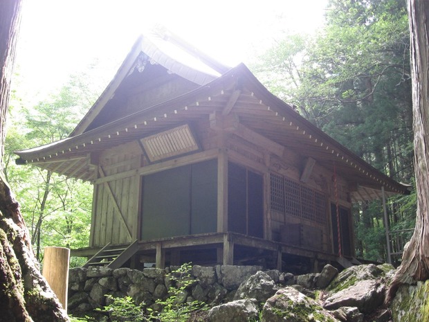 vljiko081563