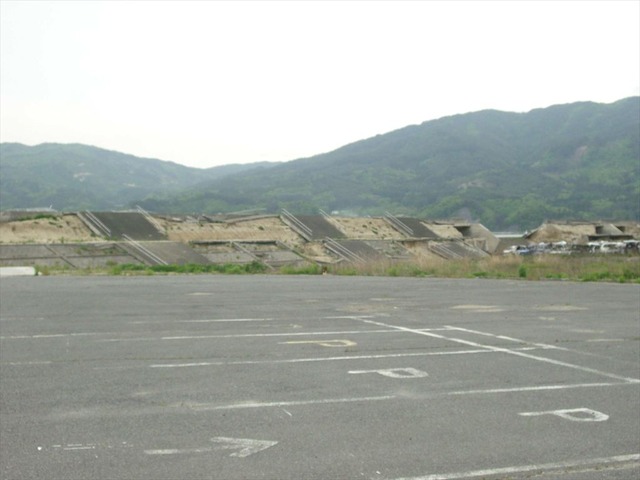 org3481570