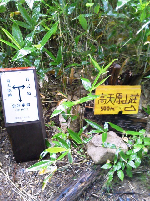 img5126488442b7e