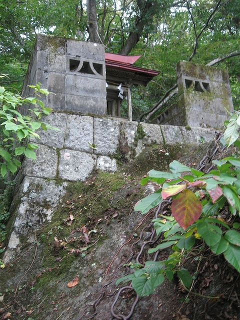 vljiko084794