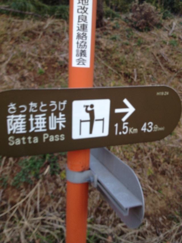 南房総 自転車旅 さかもと