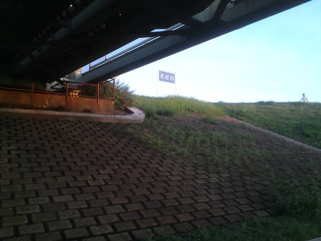 org3432846