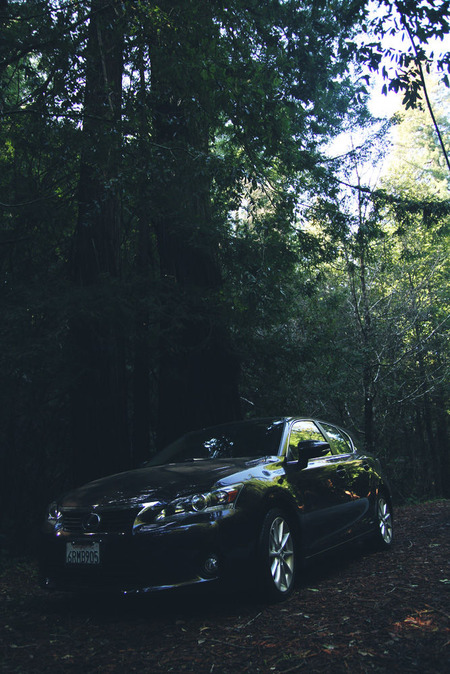 vlphoto017182