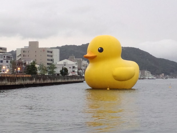 img_1666395_66738836_1