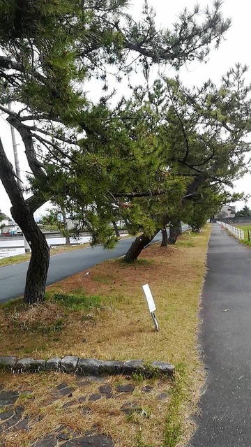 jucuNyO
