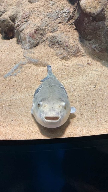 QyBL0BJ