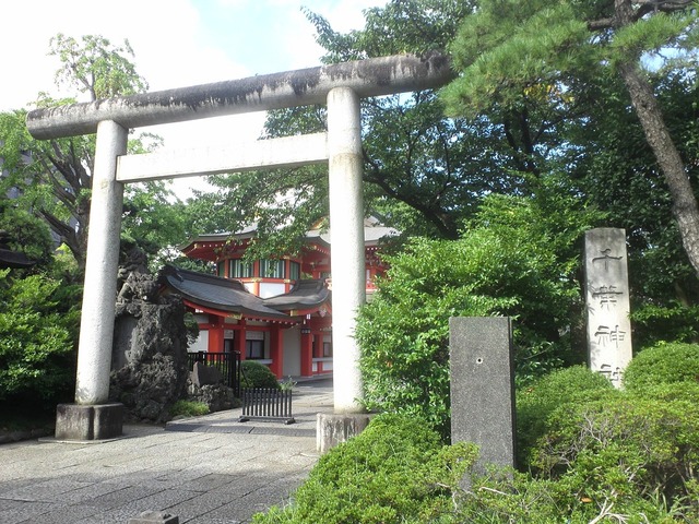 org3433076