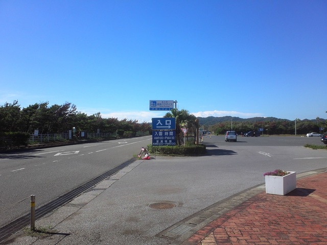 org3433680