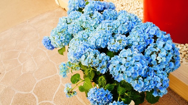 SolBO2E